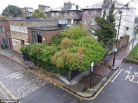 London mews house swallowed by hedge is listed for nearly £1M... (but ...