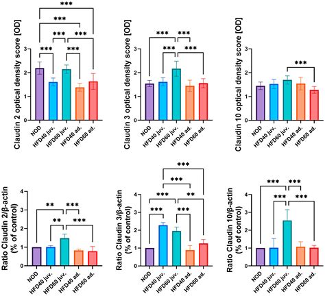 Effects of an Innovative High-Fat Diet on Intestinal Structure, Barrier Integrity, and ...