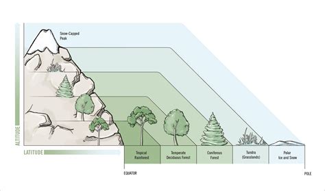 Environmental 的图像结果