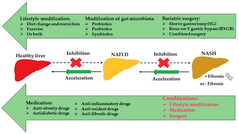 Treatment For Nafld