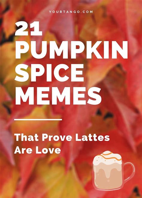 21 Pumpkin Spice Memes That Prove Lattes Are Love | Pumpkin spice latte ...