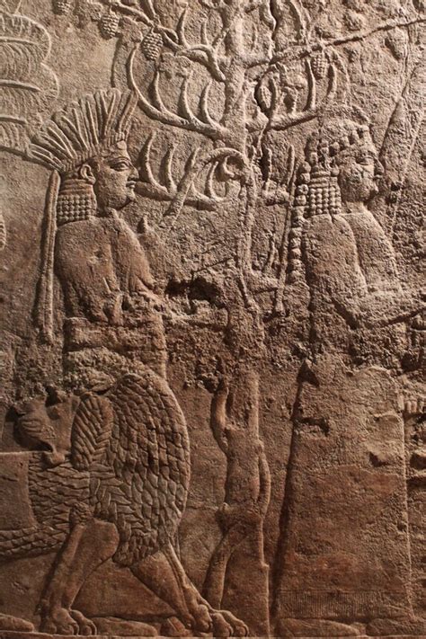 La biblioteca reale di Ninive | Meer