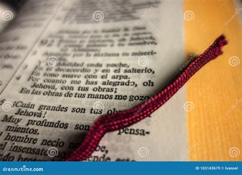 What Does Holy Means In Spanish at Rose Woods blog