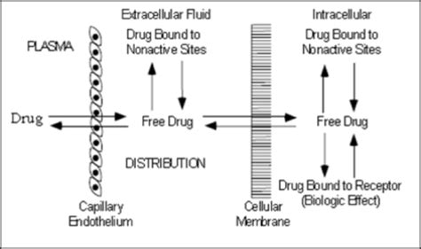 Tissue Distribution 的图像结果