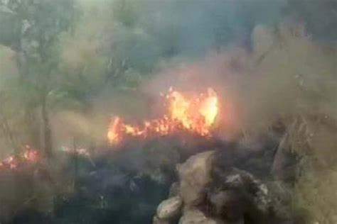 Kurangani treks resume with riders