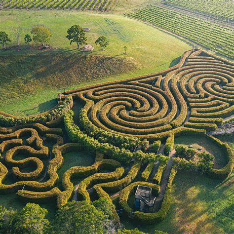 BAGO MAZE & WINE (2026) All You Need to Know BEFORE You Go (with Photos ...