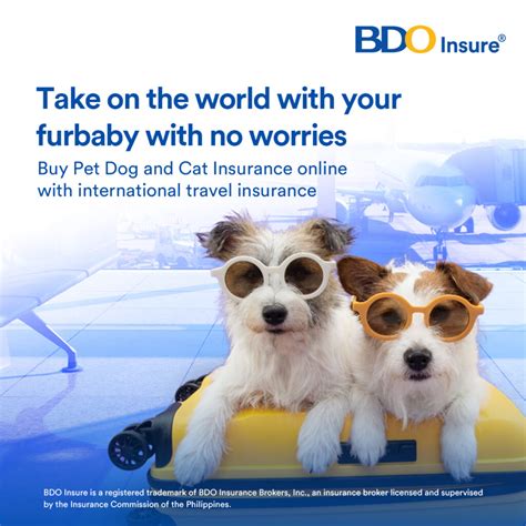 BDO Insure offers protection for pet dogs and cats - Philippines Graphic