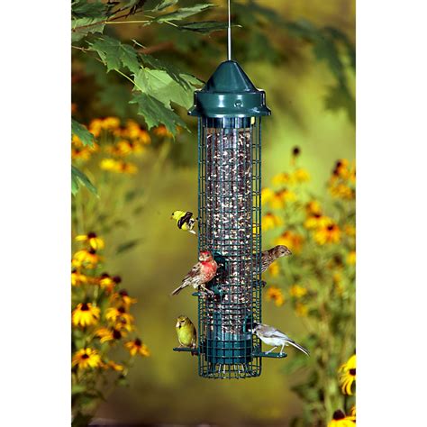 Brome Squirrel Buster Classic Squirrel Proof Bird Feeder - Backyard ...