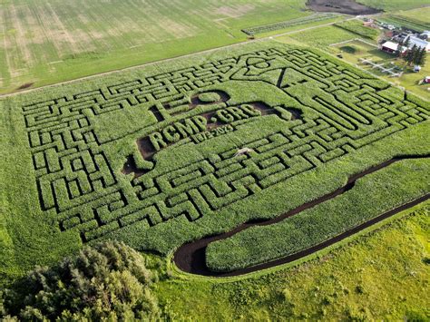 Corn Maze 的图像结果