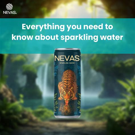 What Is Sparkling Water? Benefits & Facts