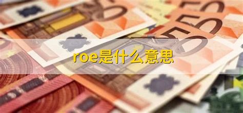 一文读懂ROE 什么是ROE？它为什么重要？ROE，中文名叫净资产收益率，也叫权益报酬率或权益净利率。计算公式如下：意思就是说在一家公司 ...