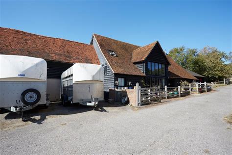 Image result for Taskmaster Dog Task