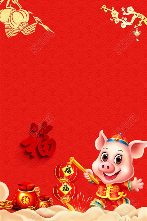 简约2019猪年插画宣传海报_红动网