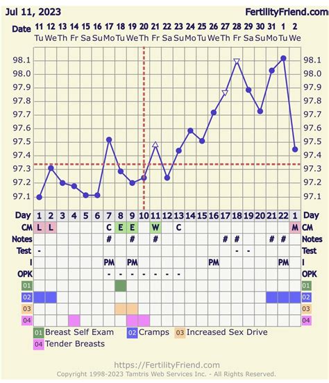 Amount of egg white cervical mucus : r/FAMnNFP