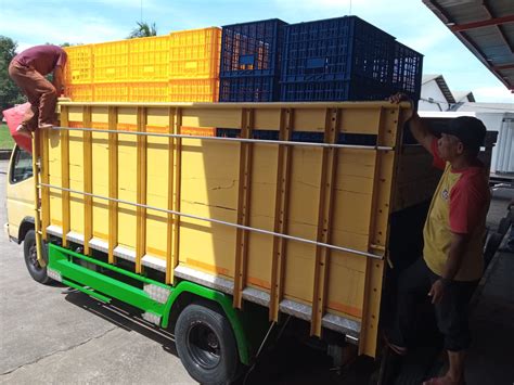 BOX CONTAINER PLASTIK INDUSTRI RABBIT, KIRIM KE JAKARTA UTARA