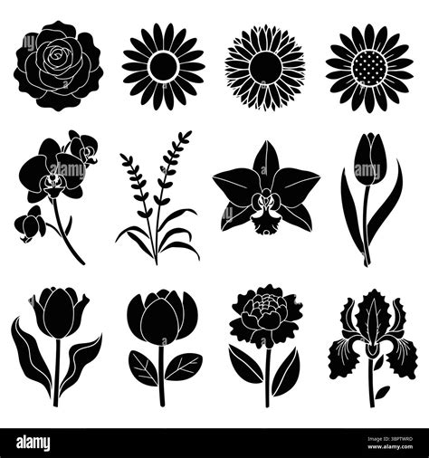 Clean graphic elements Stock Vector Images - Alamy