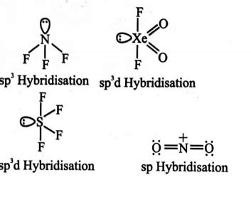 The correct order of hybridization of the central atom in the following ...