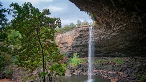 Gadsden Travel Guide | Gadsden Tourism - KAYAK