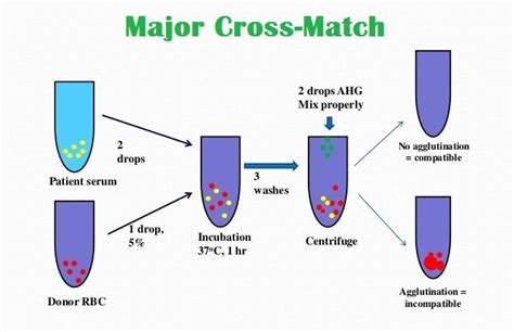 Image result for PowerPoint Model for Computer Science