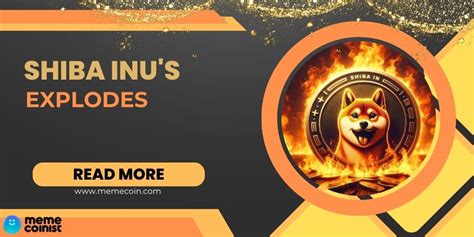 Will Shiba Inu Reach New Heights? Decoding the Shiba Inu Coin Price in INR
