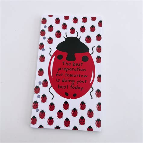 Petite Planner Food Diary 8 Week Insert -Ladybird