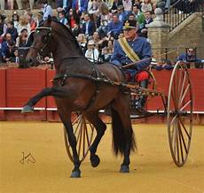 carrozze per cavalli siviglia 2017 capitale mondiale degli attacchi carrozze carrozze per cavalli siviglia 2017 capitale mondiale degli attacchi carrozze