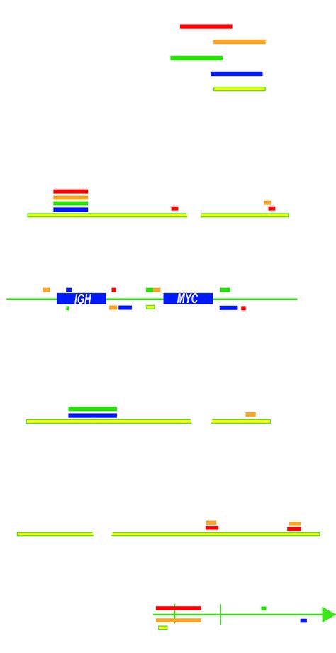 Genome Instability in Multiple Myeloma: Facts and Factors