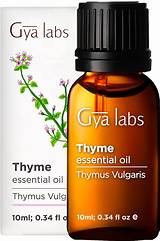 Buy Gya Labs Thyme Essential Oil for Hair - Thyme Oil for Skin - Thyme ...