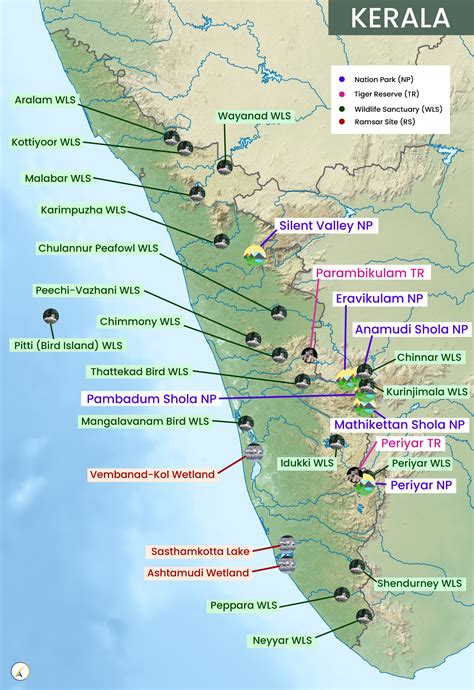 Top 15 Wildlife Sanctuaries And National Parks In Kerala