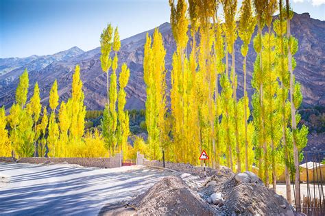 It’s spring in paradise | Condé Nast Traveller India