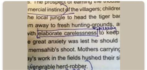 Meaning of elaborate carelessness ? - Brainly.in