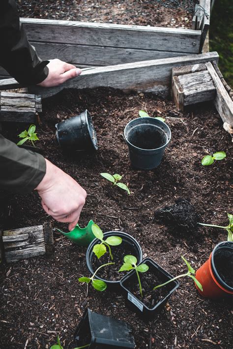 Does Fertilizer Go Bad? The Reality of Fertilizer Shelf Life — Meadowlark Journal