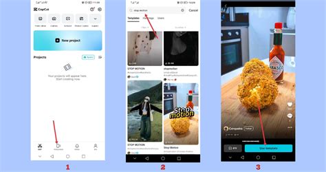 Image result for Stop Motion Look App Tutorial