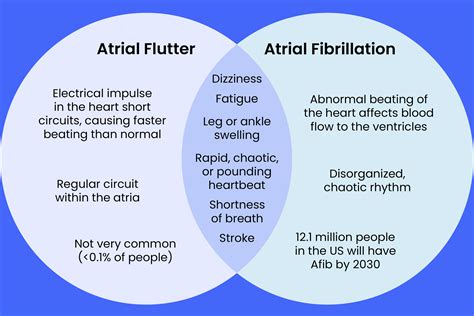 Atrial Fibrillation Vs Atrial Flutter Atrial Flutter Vs Atrial
