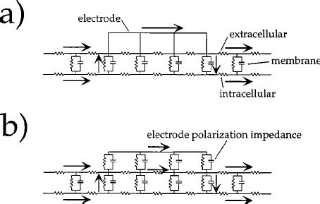 Cable Model Schematic 的图像结果