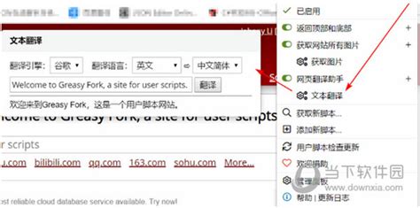 网页翻译助手插件 V1.0 Chrome版绿色免费版下载[安全工具] - 七道奇(www.qdodge.com)