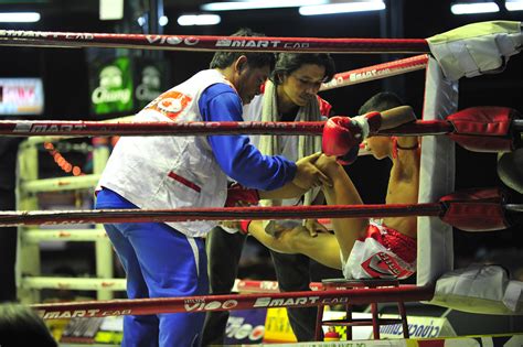 Boxing MH 的图像结果