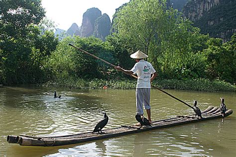 中国震撼美景：从漓江上的鸬鹚捕鱼到元阳梯田_新浪图片
