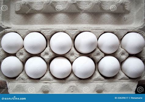 One Dozen Eggs stock image. Image of meal, white, fresh - 22639617