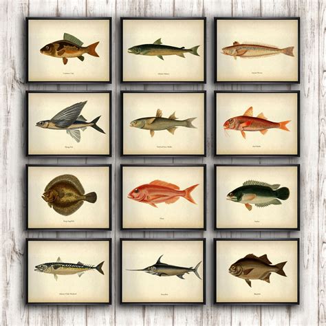 Types 的图像结果