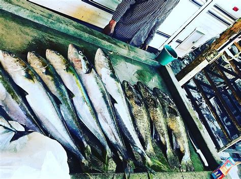 MARMAKO'S SPORTFISHING & ISLAND TRIPS (2026) All You SHOULD Know Before ...