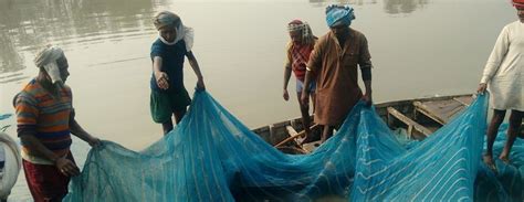 A Myopic Effort to 'Protect' a Community from the Kosi Left It in a ...