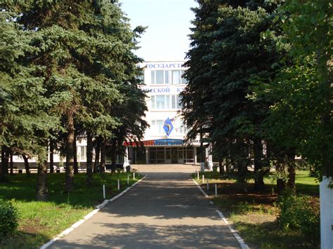 МГАФК 2025: Московская государственная академия физической культуры ...