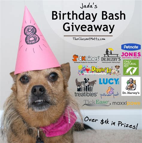 Jada's Birthday Bash Giveaway - Over $1000 in Prizes! | The Chesnut Mutts