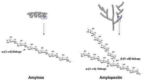 Environmentally Friendly Starch-Based Adhesives for Bonding High ...
