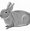 Image result for Cute Bunny PNG