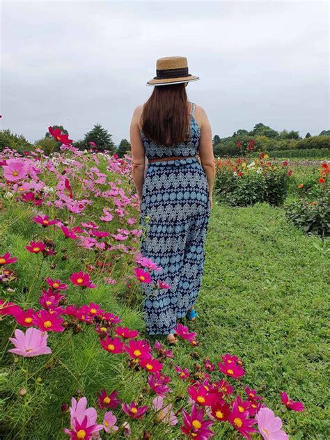 Pick your own flowers in kent – Artofit