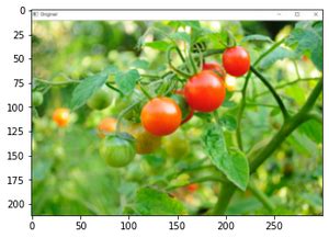 Python Read RGB Image 的图像结果
