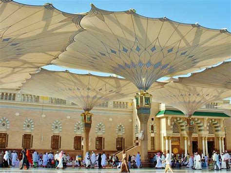 al Madina hajj umrah service chennai