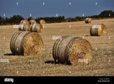 Haystack 的图像结果